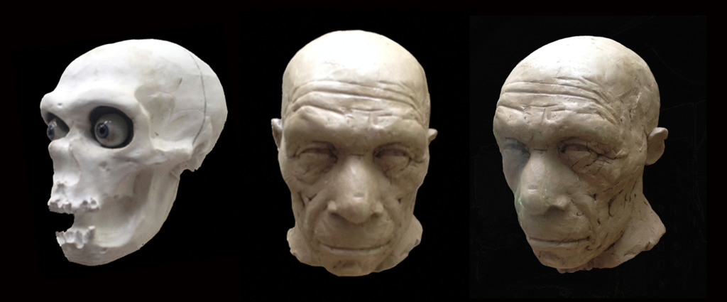 Ricostruzione Homo Sapiens e Neanderthal - Plastikart Studio. Neanderthal maschio anziano